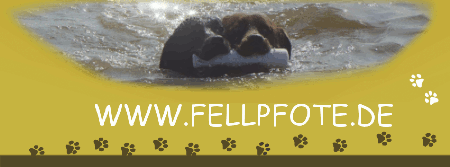 www.fellpfote.de